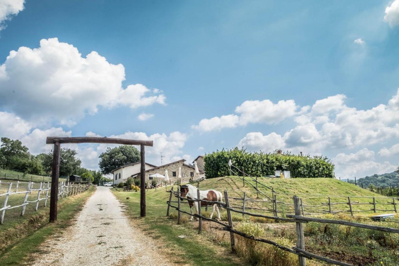 Agriturismo Goccia Di Luna Umbertide Exterior photo